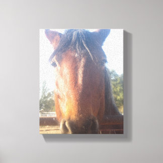 Lienzo Canvas de amor de Brown Horsey
