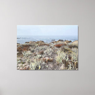 Lienzo Canvas de California: Asilomar
