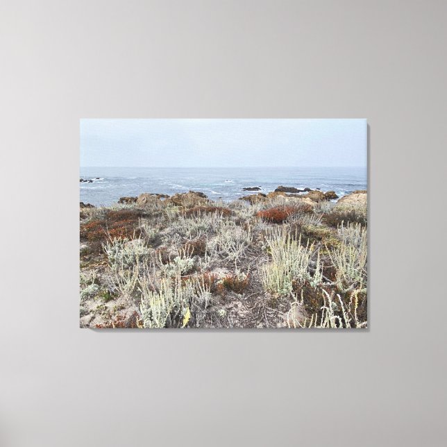 Lienzo Canvas de California: Asilomar (Anverso)