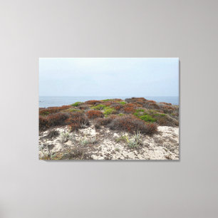 Lienzo Canvas de California: Asilomar