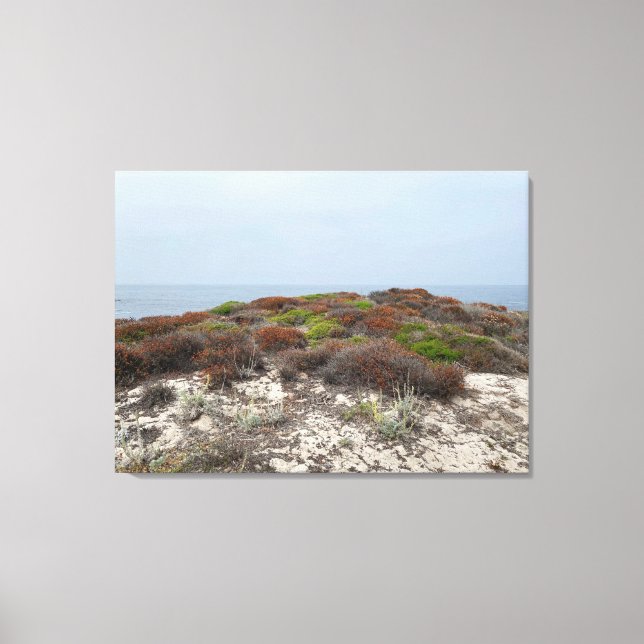 Lienzo Canvas de California: Asilomar (Anverso)