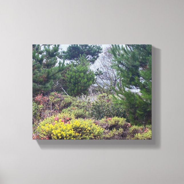 Lienzo Canvas de California: Colores Asilomar (Anverso)