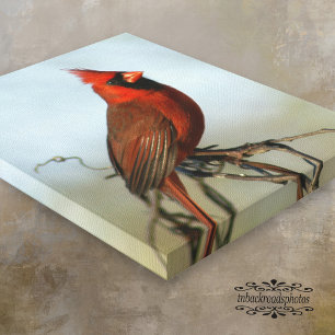 Lienzo Canvas de cardenales del norte rojo