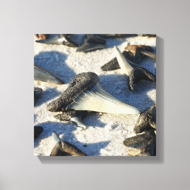 Lienzo Canvas de dientes de tiburón (Anverso)