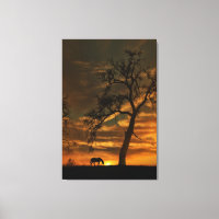 Canvas de fotografía de caballo Bella Artes suroes