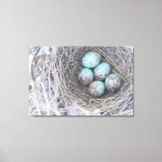 Lienzo Canvas de fotografía de la naturaleza de los huevo