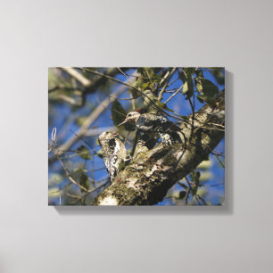 Lienzo Canvas de pájaros