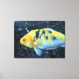 Lienzo Canvas de peces dorados
