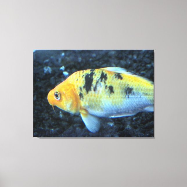 Lienzo Canvas de peces dorados (Anverso)