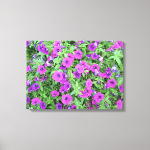 Lienzo Canvas de Petunias púrpuras