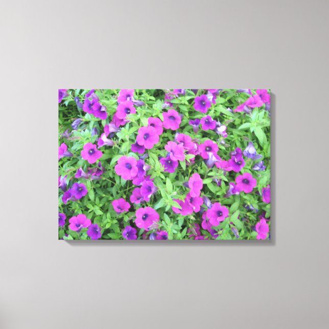 Lienzo Canvas de Petunias púrpuras (Anverso)