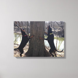 Lienzo Canvas de Treeing Coon Hounds