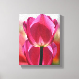 Lienzo Canvas de tulipano rosado