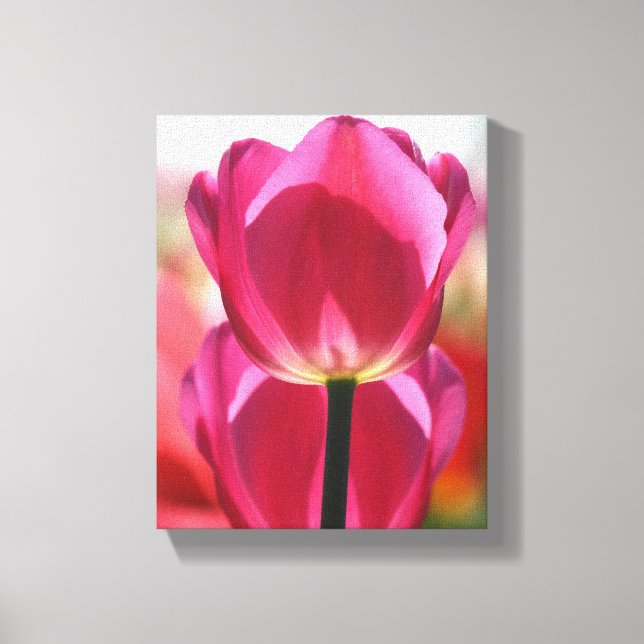 Lienzo Canvas de tulipano rosado (Anverso)