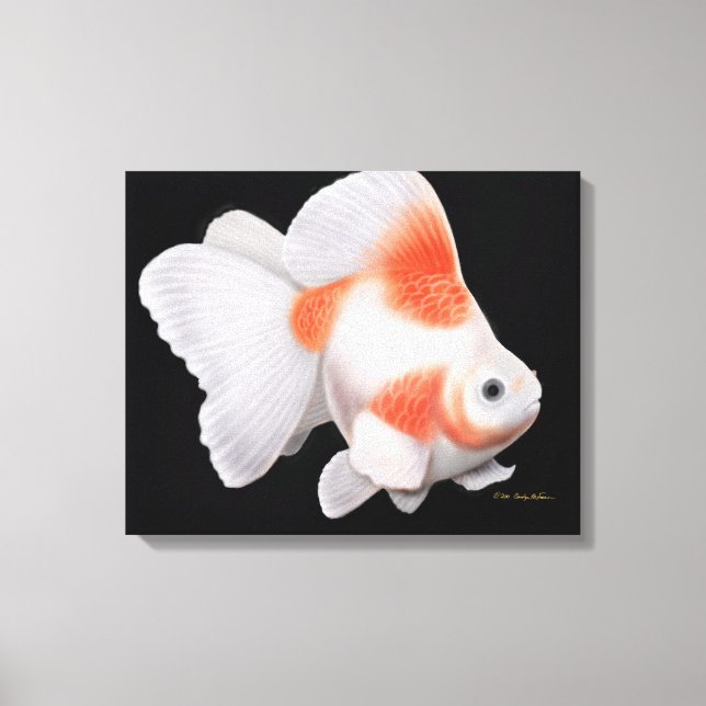 Lienzo Canvas envueltas de Ryukin Fantail (Anverso)