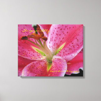 Lienzo Canvas envueltas Stargazer Lilly