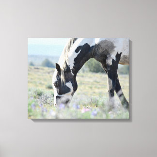 Lienzo Canvas estiradas de Maestro 20 x 16