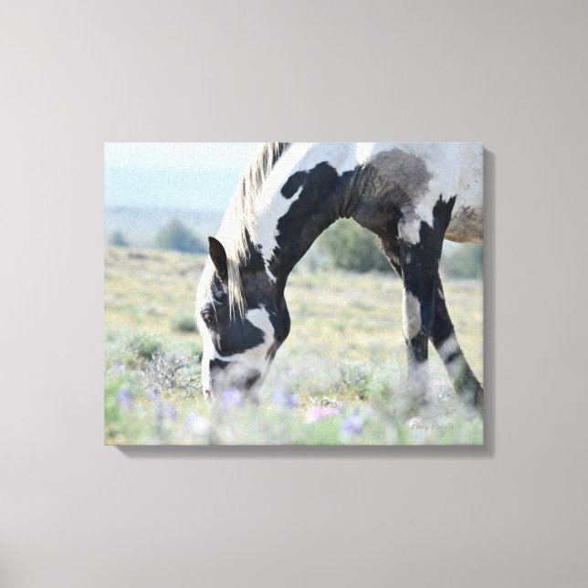 Lienzo Canvas estiradas de Maestro 20 x 16 (Anverso)