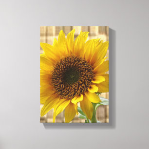 Lienzo Canvas estiradas imprimen girasol en el día de la