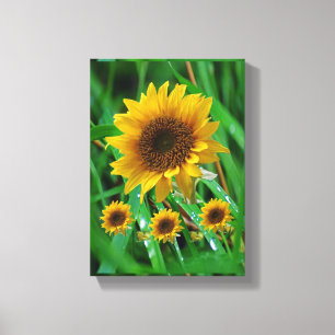 Lienzo Canvas estiradas imprimen girasol en el día de la