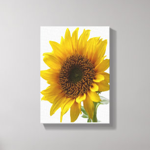 Lienzo Canvas estiradas imprimen girasol en el día de la