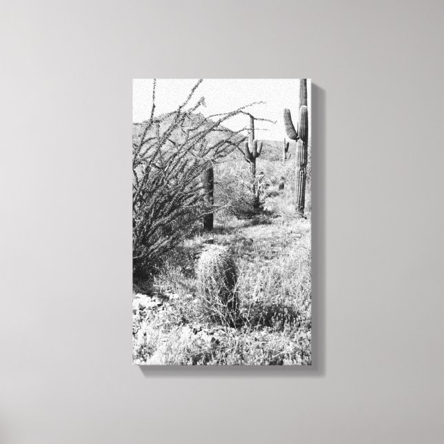 Lienzo Canvas Jardín de Vaqueros (Desierto Sonoro AZ) (Anverso)