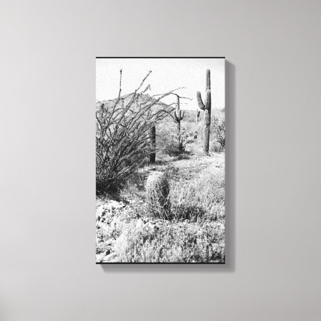 Lienzo Canvas Jardín de Vaqueros (Desierto Sonoro AZ) (Anverso)