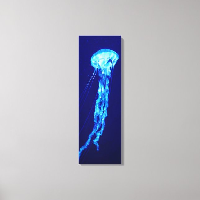 Lienzo Canvas Jellyfish (Anverso)