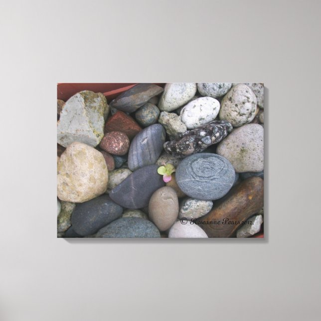 Lienzo Canvas (Pebbles #1) RFPMDesigns ©️ 2012 (Anverso)