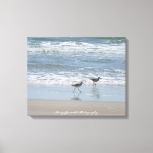 Lienzo Canvas: Sandpipers en la playa - Isla Topsail NC