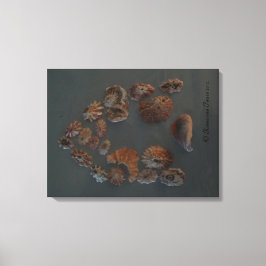 Lienzo Canvas (SeaShell House) RFPMDesigns ©️ 2012