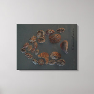 Lienzo Canvas (SeaShell House) RFPMDesigns ©️ 2012