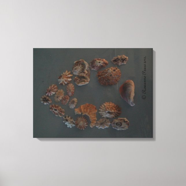 Lienzo Canvas (SeaShell House) RFPMDesigns ©️ 2012 (Anverso)