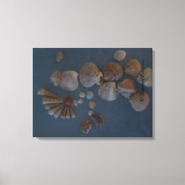 Lienzo Canvas (SeaShell Lady) RFPMDesigns ©️ 2012