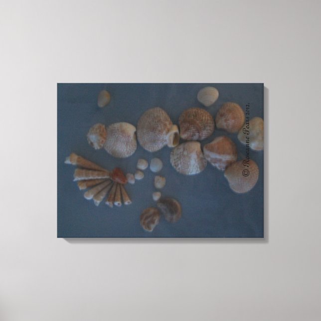 Lienzo Canvas (SeaShell Lady) RFPMDesigns ©️ 2012 (Anverso)
