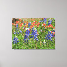 Canvas Texas Wildflowers Bluebonnets Pinceles
