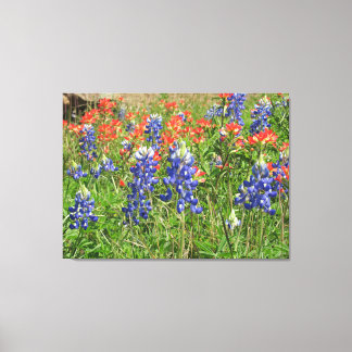Lienzo Canvas Texas Wildflowers Bluebonnets Pinceles