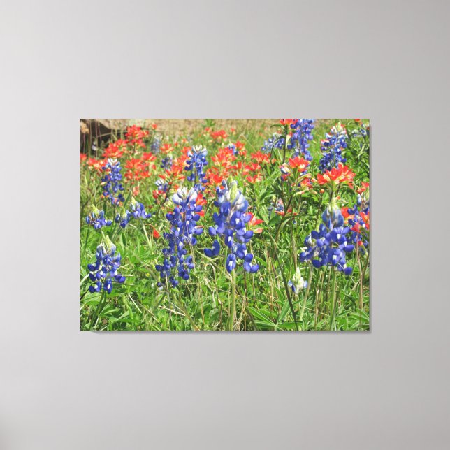 Lienzo Canvas Texas Wildflowers Bluebonnets Pinceles (Anverso)