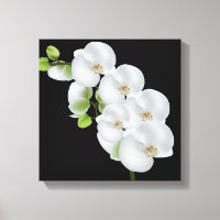 Canvas Wall Art-Orquídeas Blancas