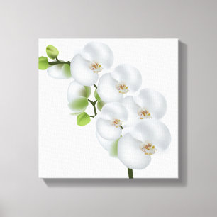 Lienzo Canvas Wall Art-Orquídeas Blancas