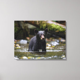 Lienzo Canvas Wall Art-Yellowstone Black Bear Cub
