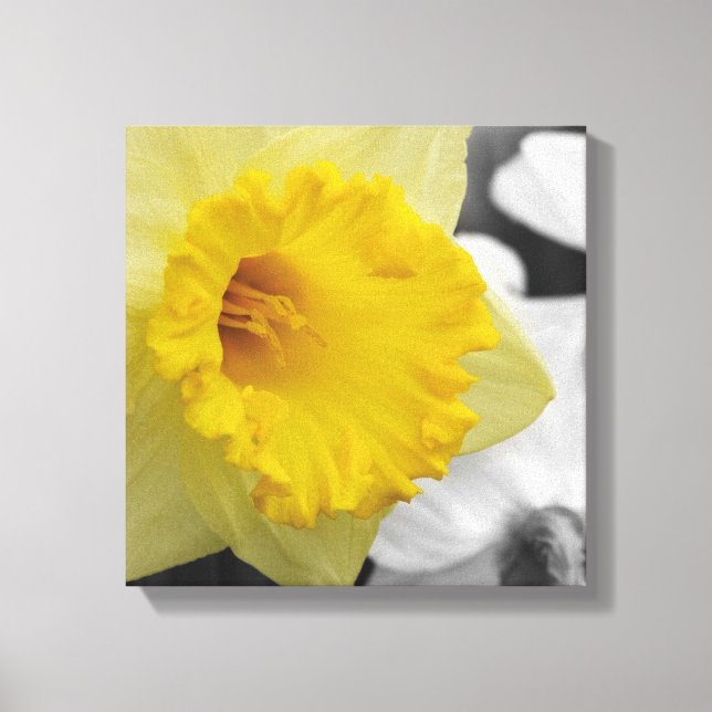Lienzo canvas with yellow narcissus (Anverso)