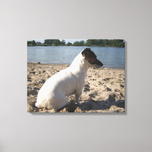 Lienzo Capo von Oppenheim, Jack Russell Terrier Dog