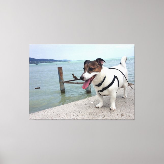 Lienzo Capo von Oppenheim, Jack Russell Terrier Dog (Anverso)