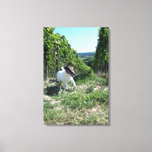 Lienzo Capo von Oppenheim, Jack Russell Terrier, Perro