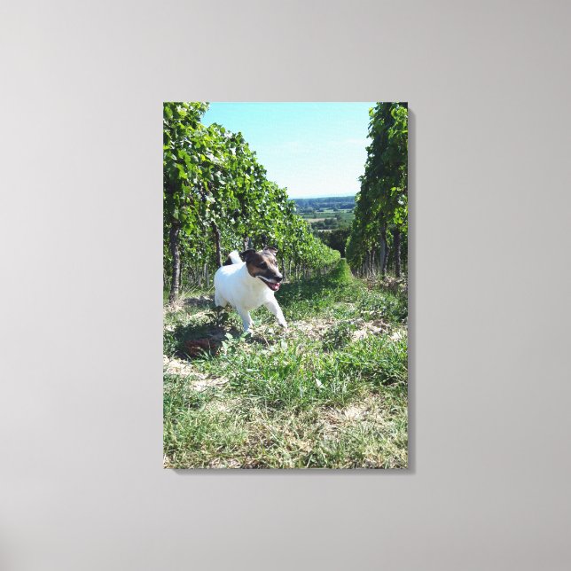 Lienzo Capo von Oppenheim, Jack Russell Terrier, Perro (Anverso)