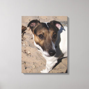 Lienzo Capo von Oppenheim, Jack Russell Terrier, Perro