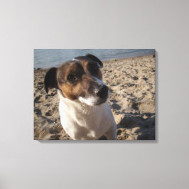 Lienzo Capo von Oppenheim, Jack Russell Terrier, Perro