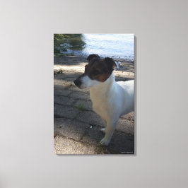 Lienzo Capo von Oppenheim, Jack Russell Terrier, Perro
