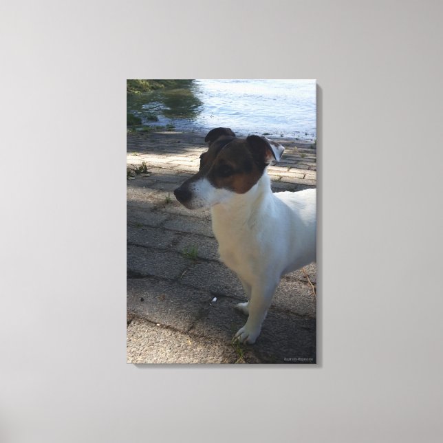 Lienzo Capo von Oppenheim, Jack Russell Terrier, Perro (Anverso)